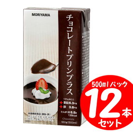 【送料無料】 守山 チョコレートプリンプラス（500ml×12個）【賞味期限残25日以上をお届けします】