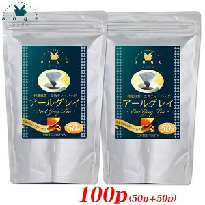 ≮IWi OpeB[obO A[OC (2g×50TB)×2܃Zbg