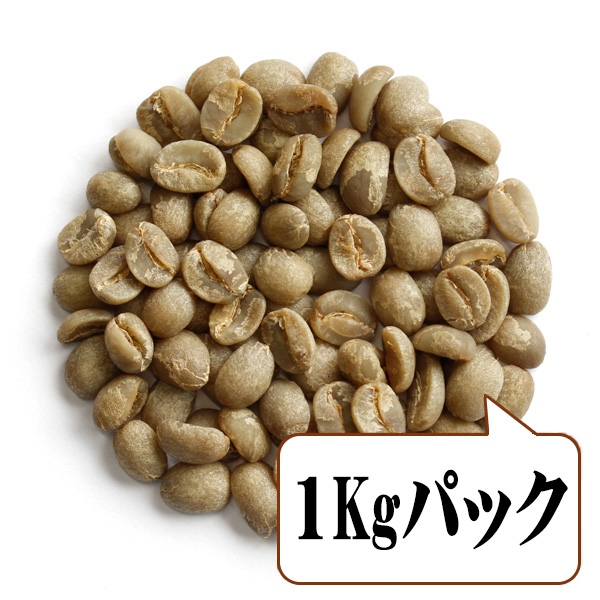 【生豆限定】 フィリピン ベンゲット カピタコ （生豆1kgパック）