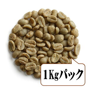 yz PjA LAWO AB TOP (1kgpbN)