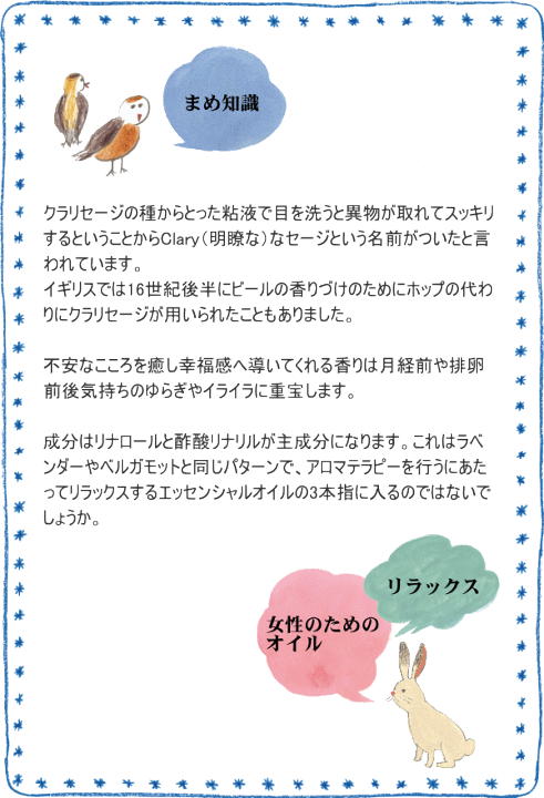 Amazon.co.jp: アロマセット【アロマストーン400g+Cedarwood