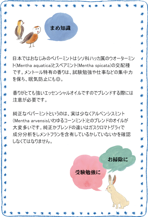 1122円 一番人気物 プラナロム ペパーミント 10ml P 119 成分分析表付 ケモタイプ