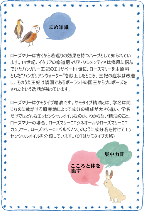 楽天市場】ローズマリー シネオール 精油 10ml アロマ 香り