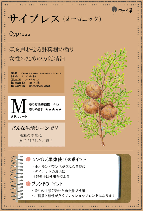 楽天市場】サイプレス (オーガニック)10ml サイプレスオイル