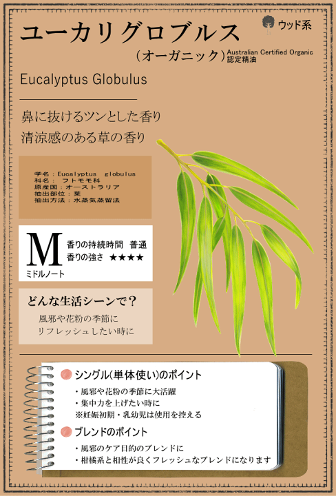 楽天市場 ユーカリグロブルス オーガニック 50ml ユーカリオイル アロマ アロマオイル エッセンシャルオイル 精油 香りと暮らす セラピストの問屋