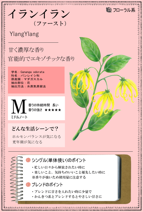 楽天市場】イランイラン 10ml イランイランオイル アロマ アロマ