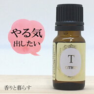グレープフルーツ 精油 10ml アロマ 香り エッセンシャルオイル 100% アロマオイル ギフト 真正 花 種 ハ…