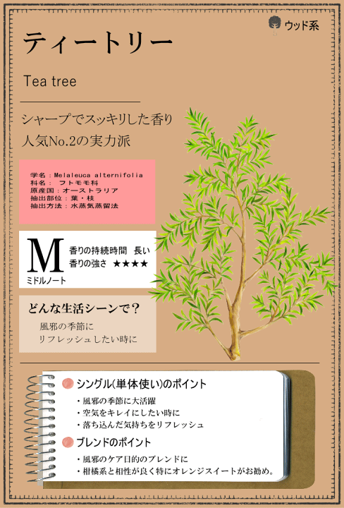 楽天市場】ティートリー 精油 50ml ティートリーオイル ティートゥリー