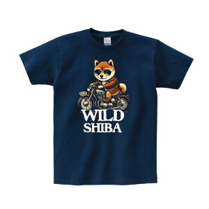 mTVc n킢 CXg Č   ΂ oCN I[goC jq N[U[ Ch IWi fUC LxȃJ[  100 lC Y fB[X 