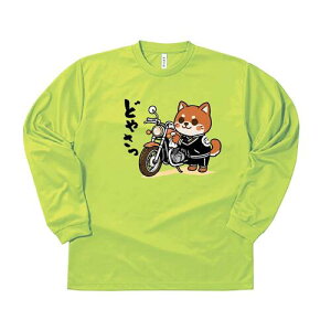 yOtVc  z T Č ΂ oCN h ܂ ǂ₳ L[ W[W ς Ɩ    ObY OeB[ O}[ glimmer Y fB[