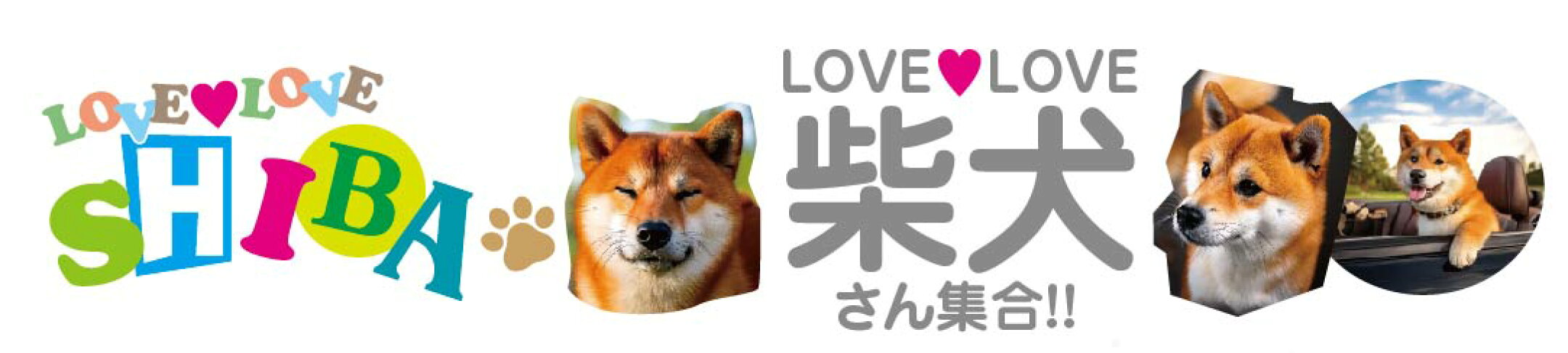 柴犬グッズ　柴犬Tシャツ　柴犬グッズプレゼント　