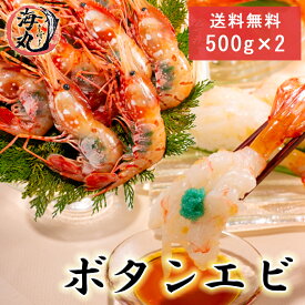 超特大 牡丹海老メス 1kg 500g×2 特大2Lサイズ 5～6尾入り 約12尾前後 真空加工 冷凍発送【送料無料】(父の日)北海道中央卸売直接仕入 えび エビ 海老 ボタンエビ ぼたんえび海鮮 お刺身 お寿司 贈答用 ギフト内祝い お祝い 熨斗も対応