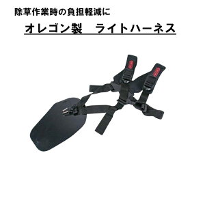  IS Cgn[lX Q539173 @p @p