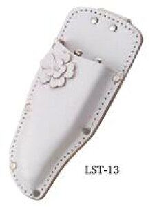 Rd`@ԕtP[X@zCg@LST-13