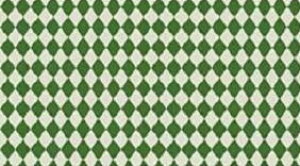 mt CASA 200mm _CErWA