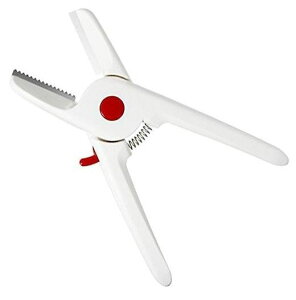 SUWADA@X_@zKčIނ@IV2@[