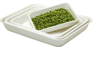 y11/15IIŒIōő100%PobNIzc ق낤obg zCg 21(21)TCY yLb` Mtg v[gz