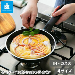 y11/5I Iōő100%PobNIzy݌ɏZ[zBKir[P[jC[W[C_NV tCp 20cm 24cm 26cm 28cm iKX΁EIHΉjyZ~bNR[eBO PFASsgp ub