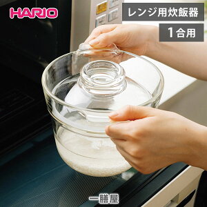 yCuGg[Ń|Cgő10{IzHARIO nI V dqWpъ XRCPN-1y{ y   1lp͂ 1p ϔMKX hario Lb` lC Mtgz