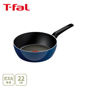 y11/5I Iōő100%PobNIzyz T-FAL eBt@[ Cu[ECeX fB[vp 22cm D53383iKXΐpjyt Vv ϋv m点}[N 