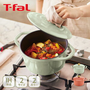 T-FAL eBt@[ LXgC GARRbg IHRRbg 20cmE24cm Z[WO[EeRb^iKX΁EIHΉjy A~LXg `^R[eBO y   L