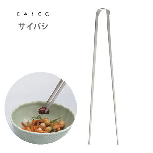 VJ EAgCO CCgR Saibashi TCoV gO AS0029 C[gR ؔ yLb`  lC Mtg v[gz