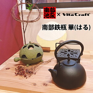 南部鉄器 やかん おしゃれの人気商品 通販 価格比較 価格 Com