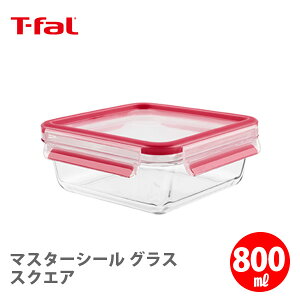 T-FAL eBt@[ }X^[V[ OX XNGA 800ml N10414yۑe  e Rei ϔMKX pbĽ^ Lv AEghA Lb`  zcpΏ