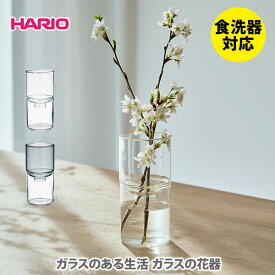 【5/25(土)限定 確率1/2で最大100%Pバック】HARIO ハリオ ガラスのある生活 ガラスの花器【hario 花器 水耕栽培 耐熱ガラス製 キッチン プレゼント】