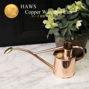 y{AK㗝Xizyp Haws z[YГEH[^OEJ@1.0bg Classic Copper Can180/2z  2020~Mtg