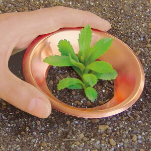 �y�i���N�W�����E�J�^�c�������� �������O�u�Ȃ߃K�[�h�v/GU-10 2������z�|埊��� �H�Q���� �H�Q�h�~