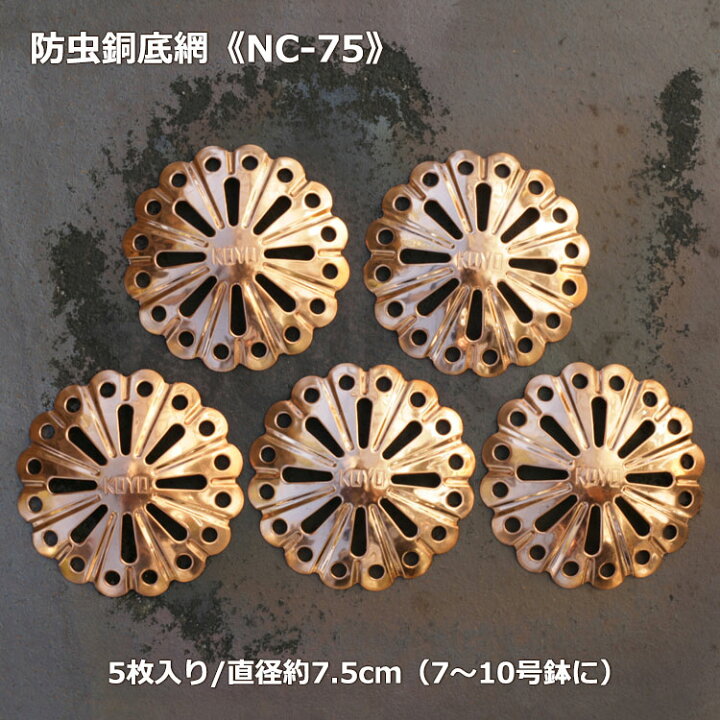 楽天市場 Lineお友達登録でクーポンプレゼント ナメクジ除け 銅鉢底網 直径75mm 5枚入り Nc 75 3980円以上送料無料はメール便配送です 蛞蝓忌避 ナメクジ防止 防虫銅底網 防虫銅底ネット 銅鉢底ネット 銅網 穴開き銅板 銅製網 銅 自然派 ナメクジガード バラ