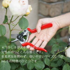 楽天市場 メール便利用で送料無料 日本輸入正規代理店品 剪定ばさみ Felco6 フェルコ6 切断能力mm 右利き用 剪定鋏 園芸はさみ 剪定ハサミ 剪定バサミ 枝切り 贈り物 ギフト包装ご対応 バラの手入れ 21春 庭道具屋 Toolbox 園芸用品