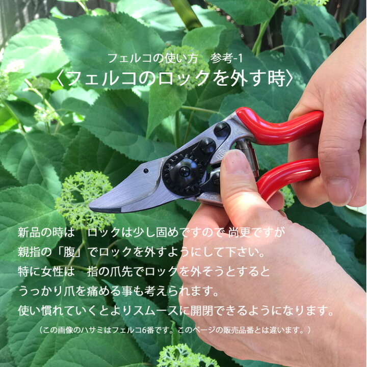楽天市場 メール便利用で送料無料 日本輸入正規代理店品 左利き用モデル 剪定ばさみ Felco16 フェルコ16 切断能力mm 剪定鋏 園芸用はさみ スイス製 庭道具屋 Toolbox 園芸用品