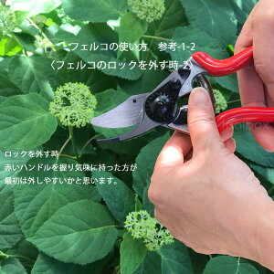 楽天市場 メール便利用で送料無料 日本輸入正規代理店品 剪定ばさみ Felco6 フェルコ6 切断能力mm 右利き用 剪定鋏 園芸はさみ 剪定ハサミ 剪定バサミ 枝切り 贈り物 ギフト包装ご対応 バラの手入れ 21春 庭道具屋 Toolbox 園芸用品