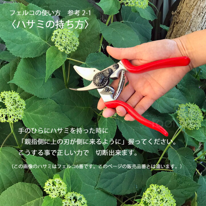 楽天市場 メール便利用で送料無料 日本輸入正規代理店品 左利き用モデル 剪定ばさみ Felco16 フェルコ16 切断能力mm 剪定鋏 園芸用はさみ スイス製 庭道具屋 Toolbox 園芸用品