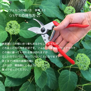 楽天市場 メール便利用で送料無料 日本輸入正規代理店品 剪定ばさみ Felco6 フェルコ6 切断能力mm 右利き用 剪定鋏 園芸はさみ 剪定ハサミ 剪定バサミ 枝切り 贈り物 ギフト包装ご対応 バラの手入れ 21春 庭道具屋 Toolbox 園芸用品