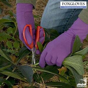 yFOXGLOVES tHbNXO[u K[fjO Ǝ܁zK[fjOEO[uuGripvyK[fjO̖iBz K[fjOO[u |p y _ Ɨp  Mtg