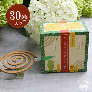 ق̑ỹi`Ƃ@30z  ጭ ybg(M/)ɖQ e Rh i` GR nX GVJAEghA Lv 