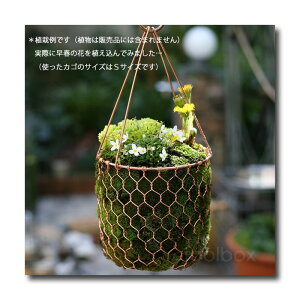 プランター おしゃれ 手作りの人気商品 通販 価格比較 価格 Com