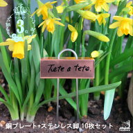 【LINEでクーポン配布中】【銅製プレート ステンレス脚 ミニチュアプランツラベル10枚セット】「コパーミ…