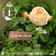 【LINEでクーポン配布中】【銅製プレート ステンレス脚 ローズプランツラベル10枚セット】「コパーローズ…