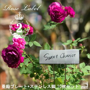 yLINEŃN[|zzzyv[g XeXr [Yvcx10Zbgzu[Yxv|l[x |x vg}[J[ vc^O Ax K[