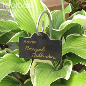 楽天市場 ブラック ステンレス プランツラベル Sサイズ ネームラベル 園芸用ラベル プラントマーカー 植物ラベル ガーデンラベル スティック 園芸用 ネームプレート 黒 ローズラベル フラワープランツラベル 庭道具屋 Toolbox 園芸用品