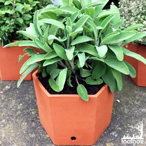 イギリス 植木鉢の人気商品 通販 価格比較 価格 Com