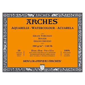�A���V�����ʎ��u���b�N300g �r�� 23X31cm 20��