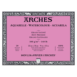 �A���V�����ʎ��u���b�N300g �ɍ� 23X31cm 20��