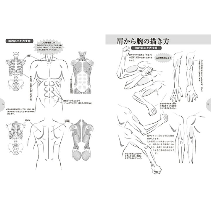 楽天市場 メンズ萌えキャラクターの描き方 顔 からだ編 コミック画材通販 Tools楽天shop 楽天市場 メンズ萌えキャラクターの描き方 顔 からだ編 コミック画材通販 Tools楽天shop