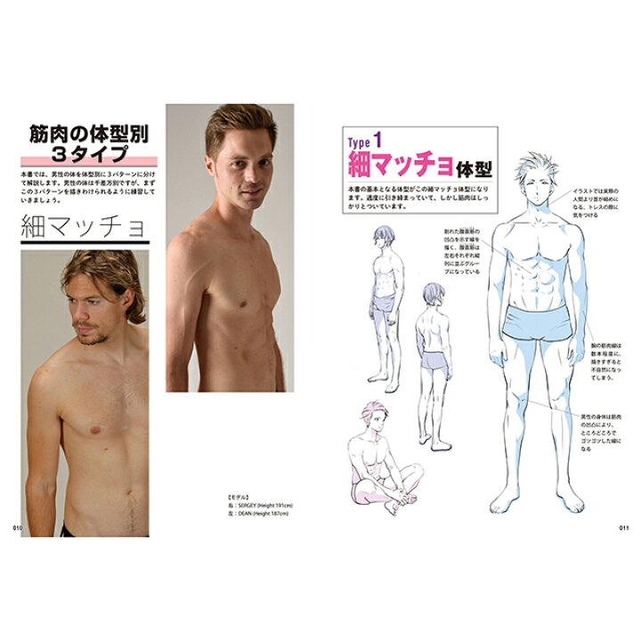 楽天市場 男の筋肉の描きわけポーズ集 スリムからマッチョまで コミック画材通販 Tools楽天shop