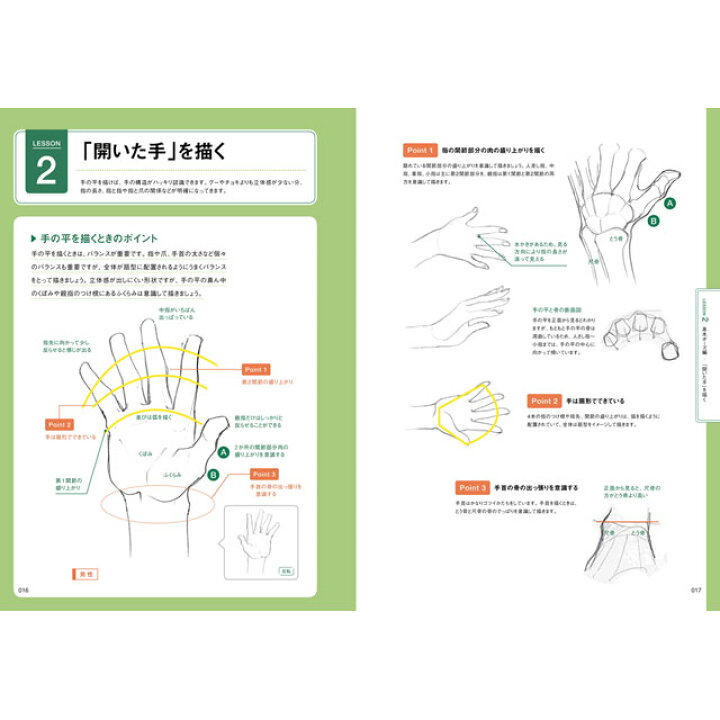楽天市場 手の描き方 神志那弘志の人体パーツ イラスト講座 コミック画材通販 Tools楽天shop